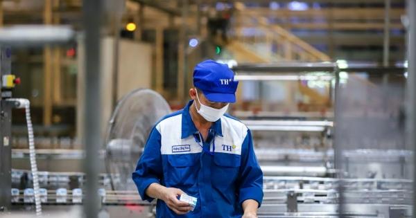 Nền móng vững chắc cho hồ xử lý nước thải chăn nuôi